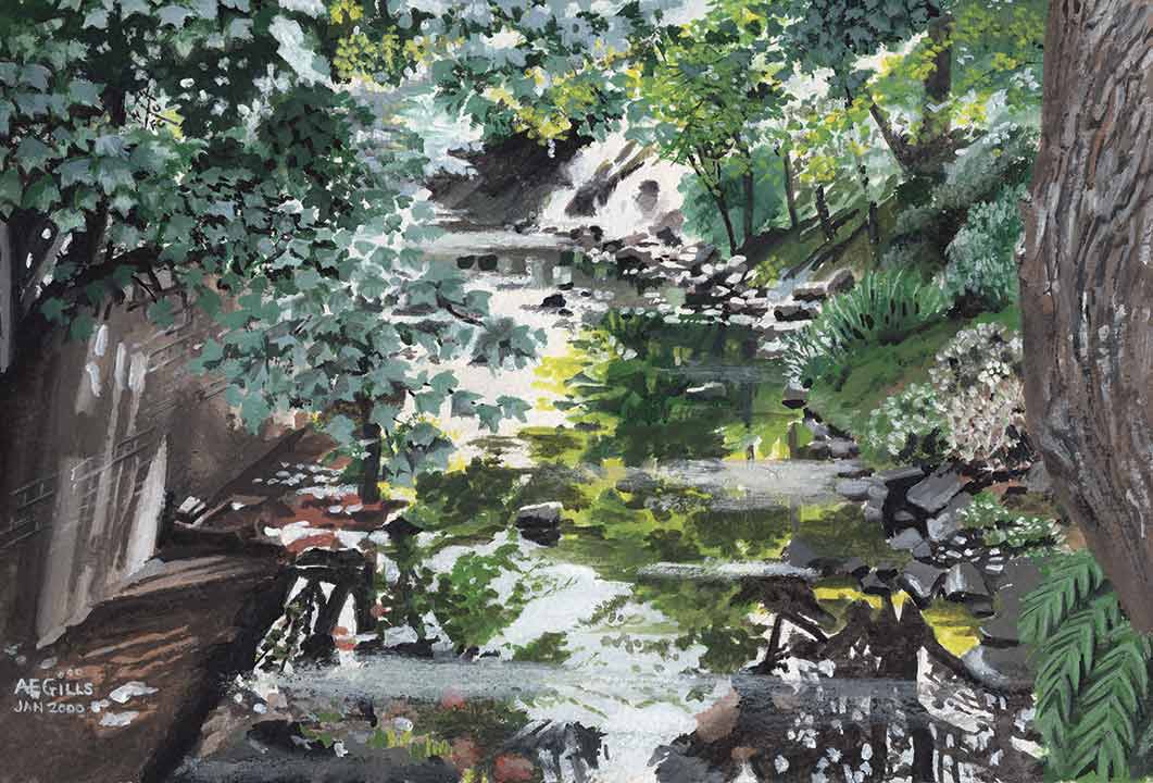 Jesmond Dene River