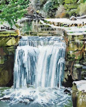 Jesmond Dene Waterfall